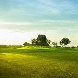 Meet your Posher, Travis